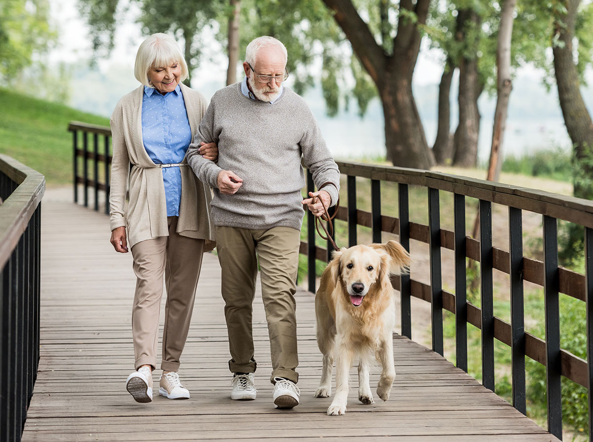 Elderly-Couple-Walking-Dog-Together.jpg