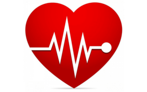 LYL | The Benefits of Exercise for the Heart - LYL