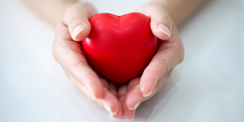 Elevate Your Heart With Physical Therapy