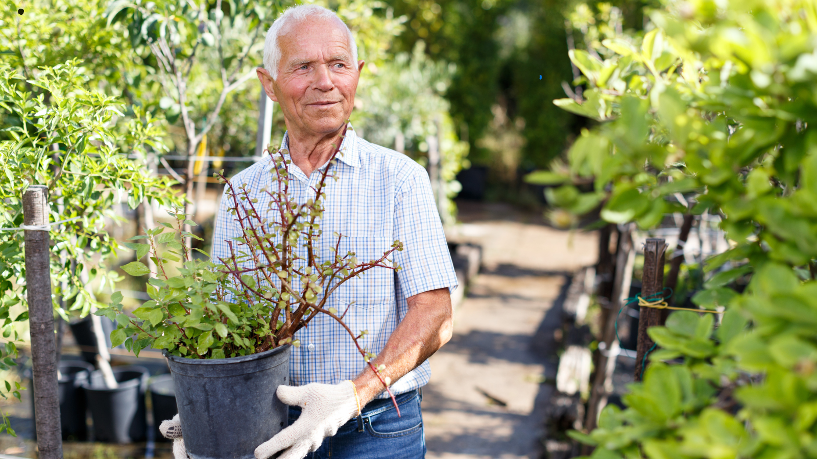 Growing a Workout with Gardening