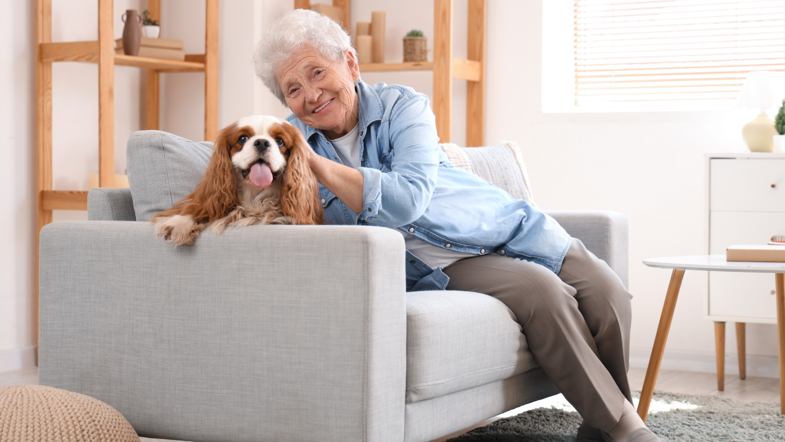 Health Benefits of Being a Pet Parent