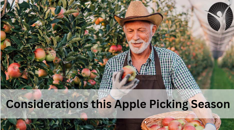 Considerations this Apple Picking Season