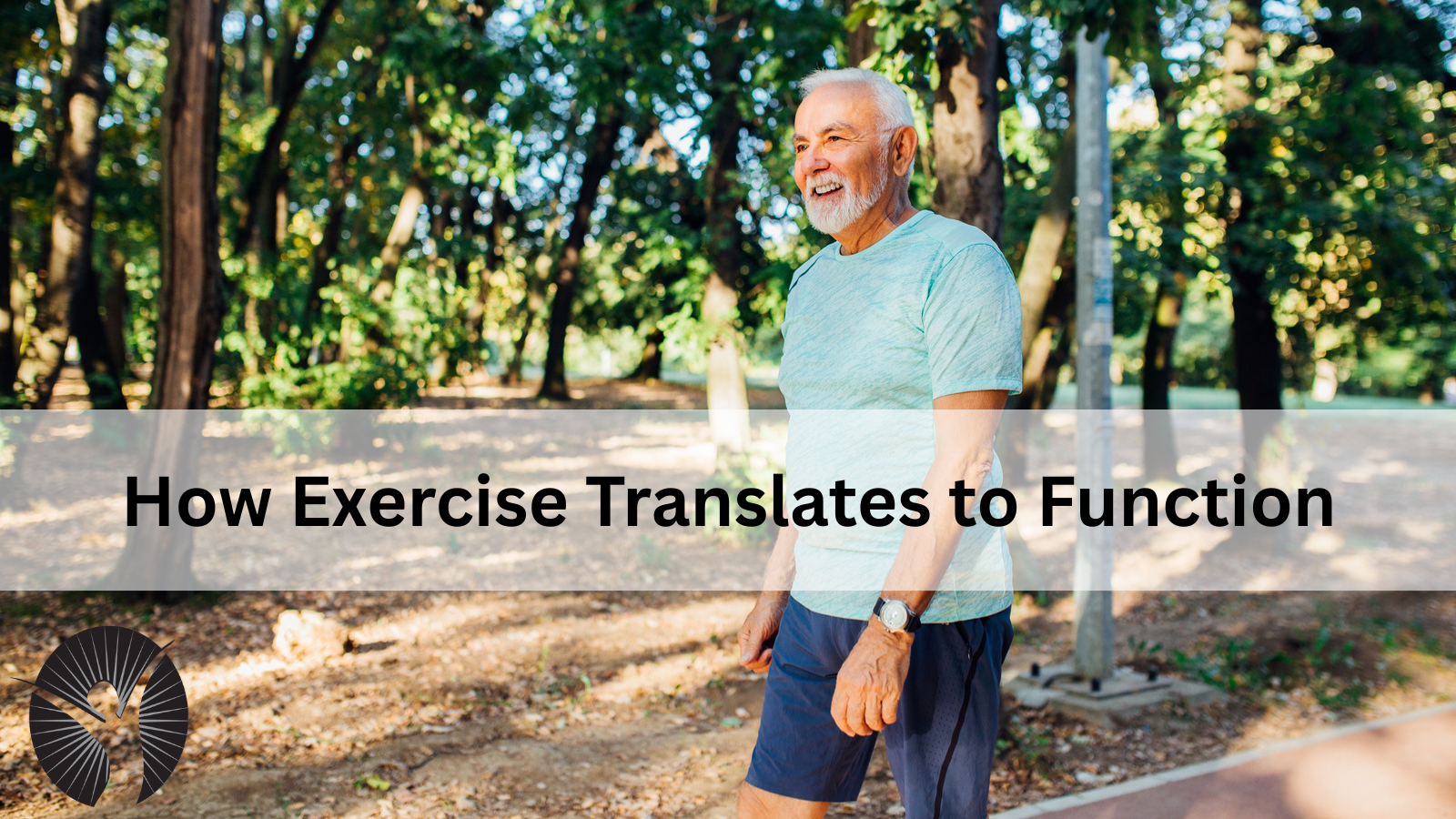 How Exercise Translates to Function