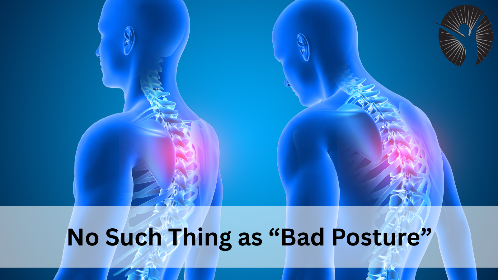 No Such Thing as “Bad Posture”