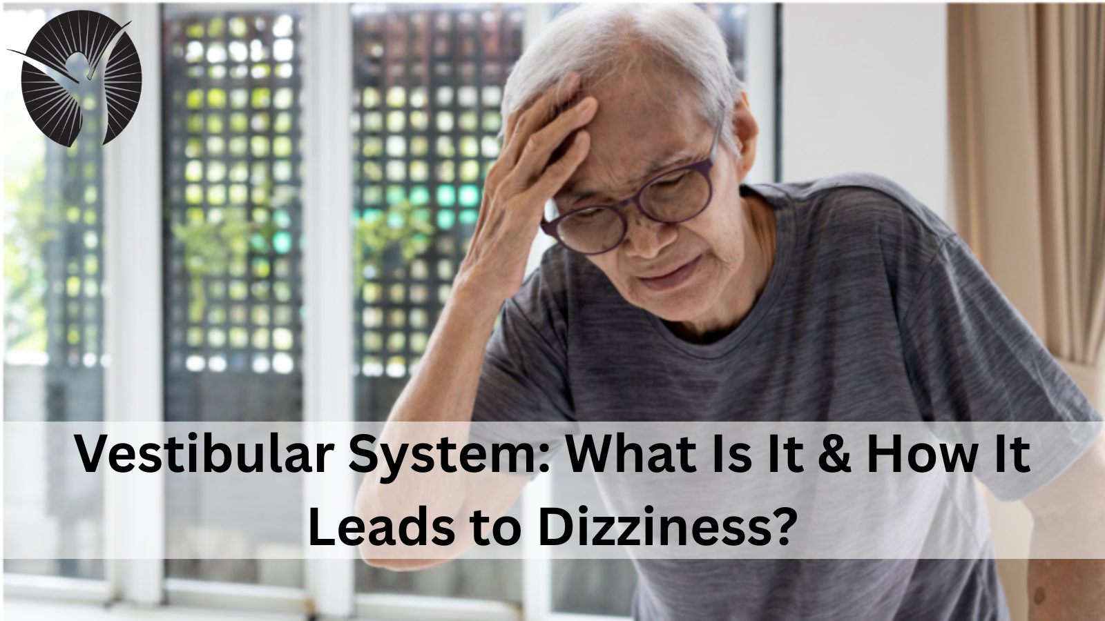 Vestibular System: What Is It & How It Leads to Dizziness?