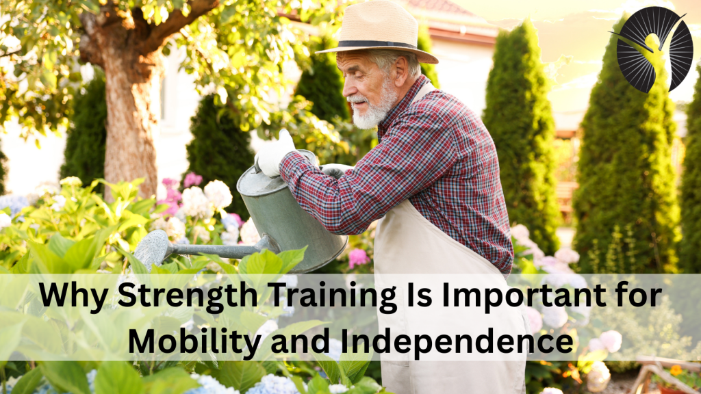 Why Strength Training Is Important for Mobility, Balance, and Independence